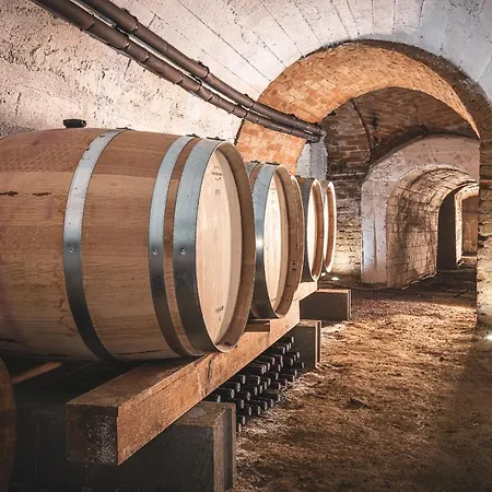 Renesanční Vinařský Dům V Historickém Centru Znojma Apartmán Znojmo