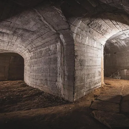 Renesanční Vinařský Dům V Historickém Centru Znojma Apartmán