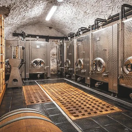 Apartmán Renesanční Vinařský Dům V Historickém Centru Znojma Znojmo