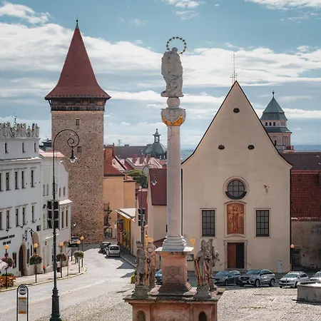Renesanční Vinařský Dům V Historickém Centru Znojma Apartmán *