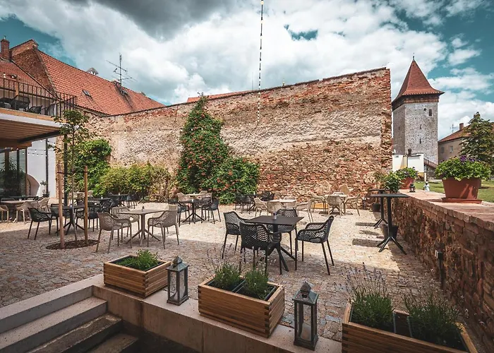Renesancni Vinarsky Dum V Historickem Centru Znojma
