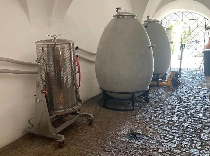 Renesancni Vinarsky Dum V Historickem Centru Znojma شقة
